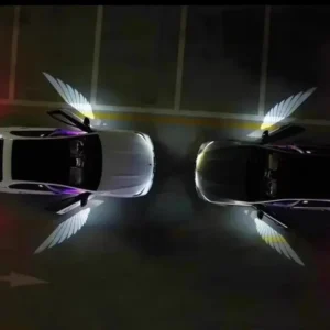 2-Pack Car Door Welcome Lights